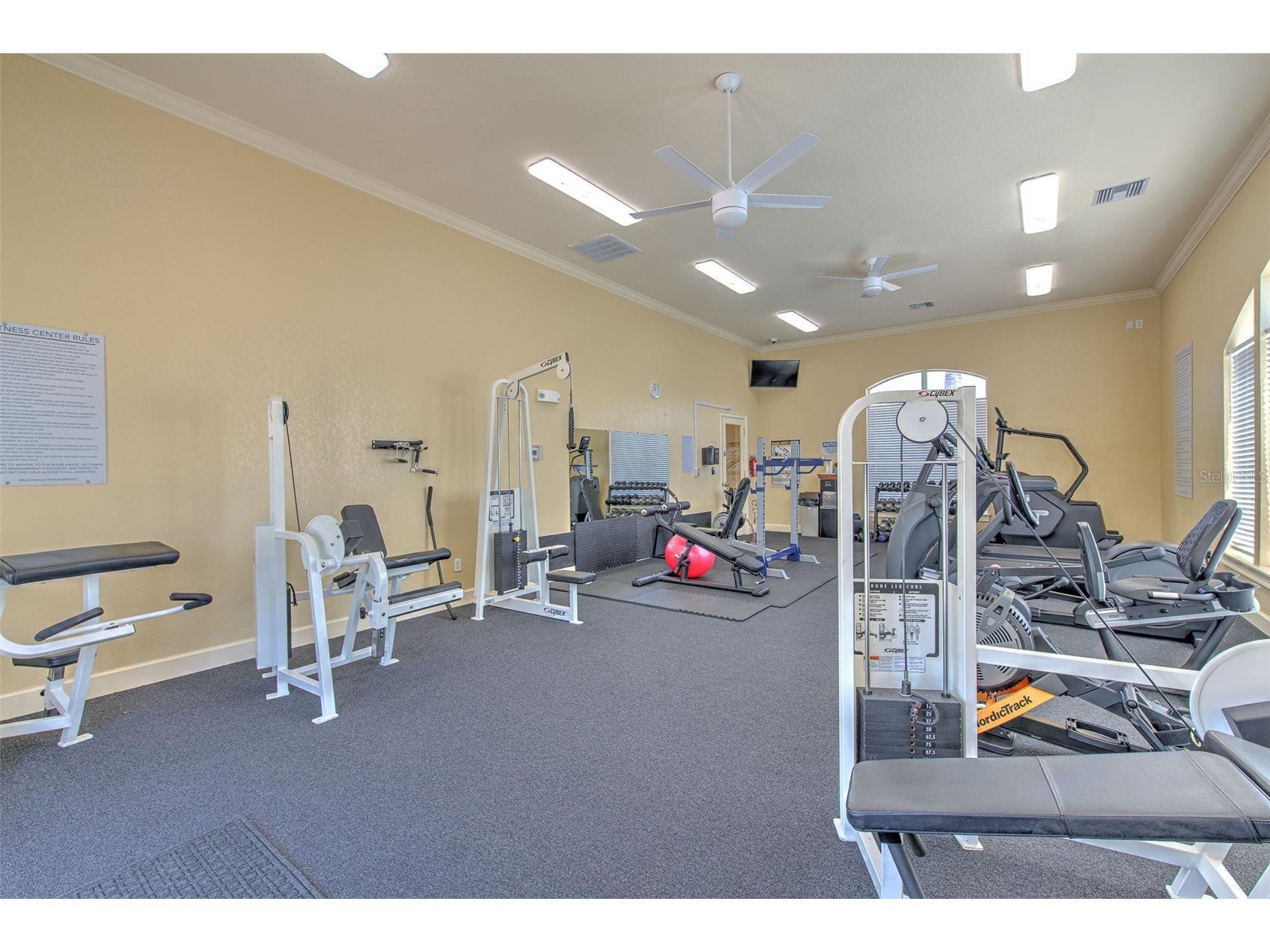 4323 Bayside Village Drive #319 Tampa FL 33615 TB8462193 image33
