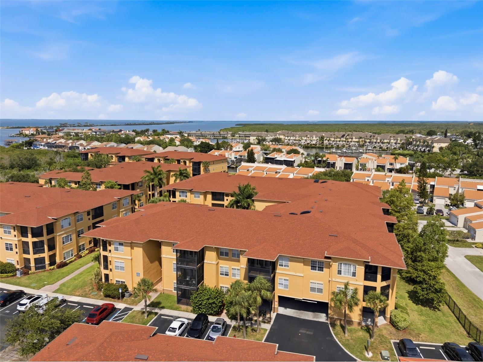 4323 Bayside Village Drive #325 Tampa FL 33615 TB8518108 image34
