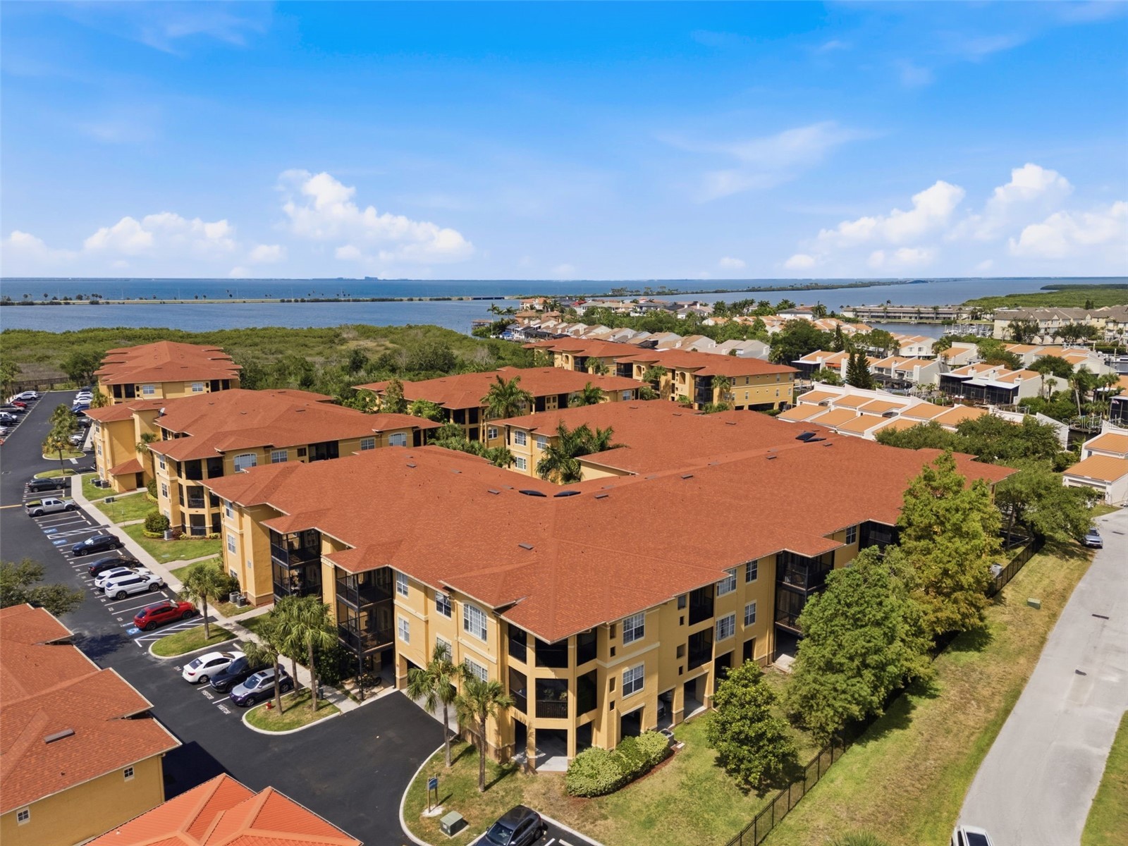 4323 Bayside Village Drive #325 Tampa FL 33615 TB8518108 image35