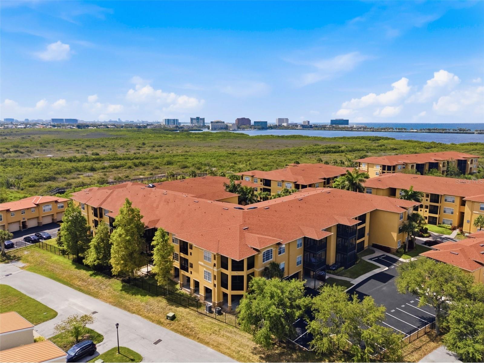 4323 Bayside Village Drive #325 Tampa FL 33615 TB8518108 image37