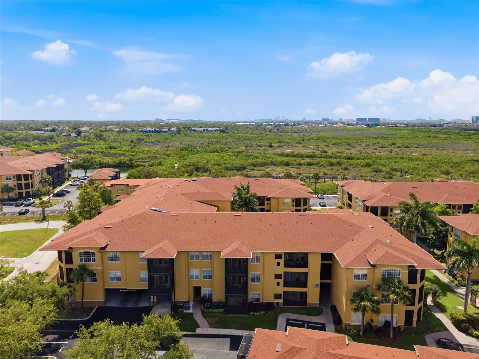 4323 Bayside Village Drive #325 Tampa FL 33615 TB8518108 image38