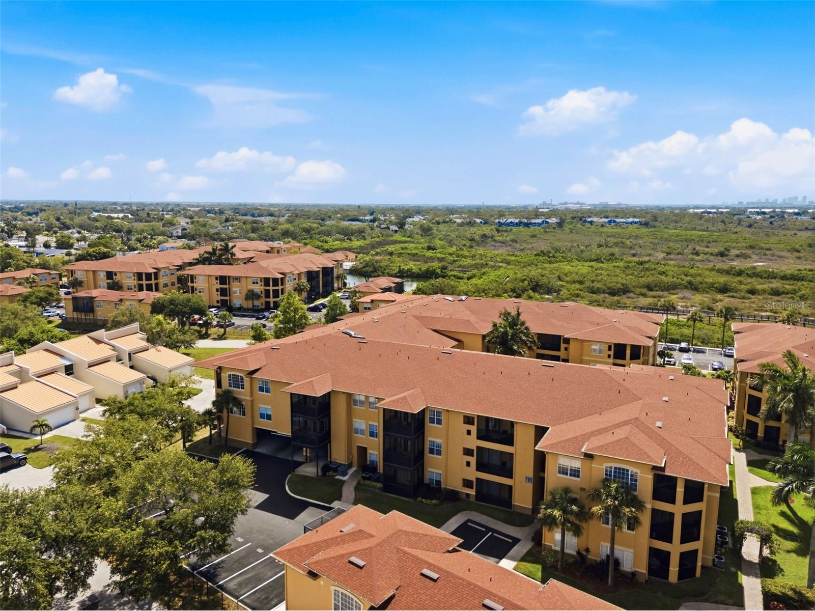 4323 Bayside Village Drive #325 Tampa FL 33615 TB8518108 image39