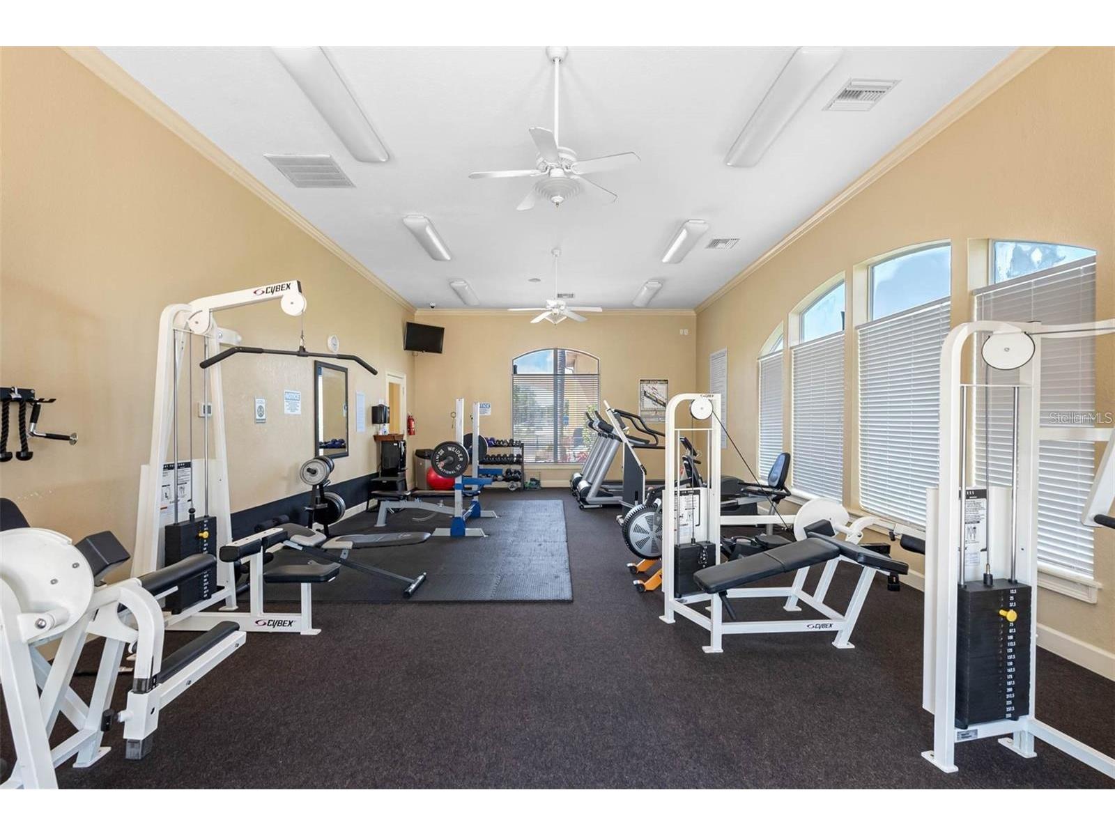 4323 Bayside Village Drive #325 Tampa FL 33615 TB8518108 image43