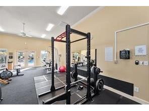 4323 Bayside Village Drive #325 Tampa FL 33615 TB8518108 image44