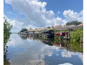 4323 Bayside Village Drive #325 Tampa FL 33615 TB8518108 image47