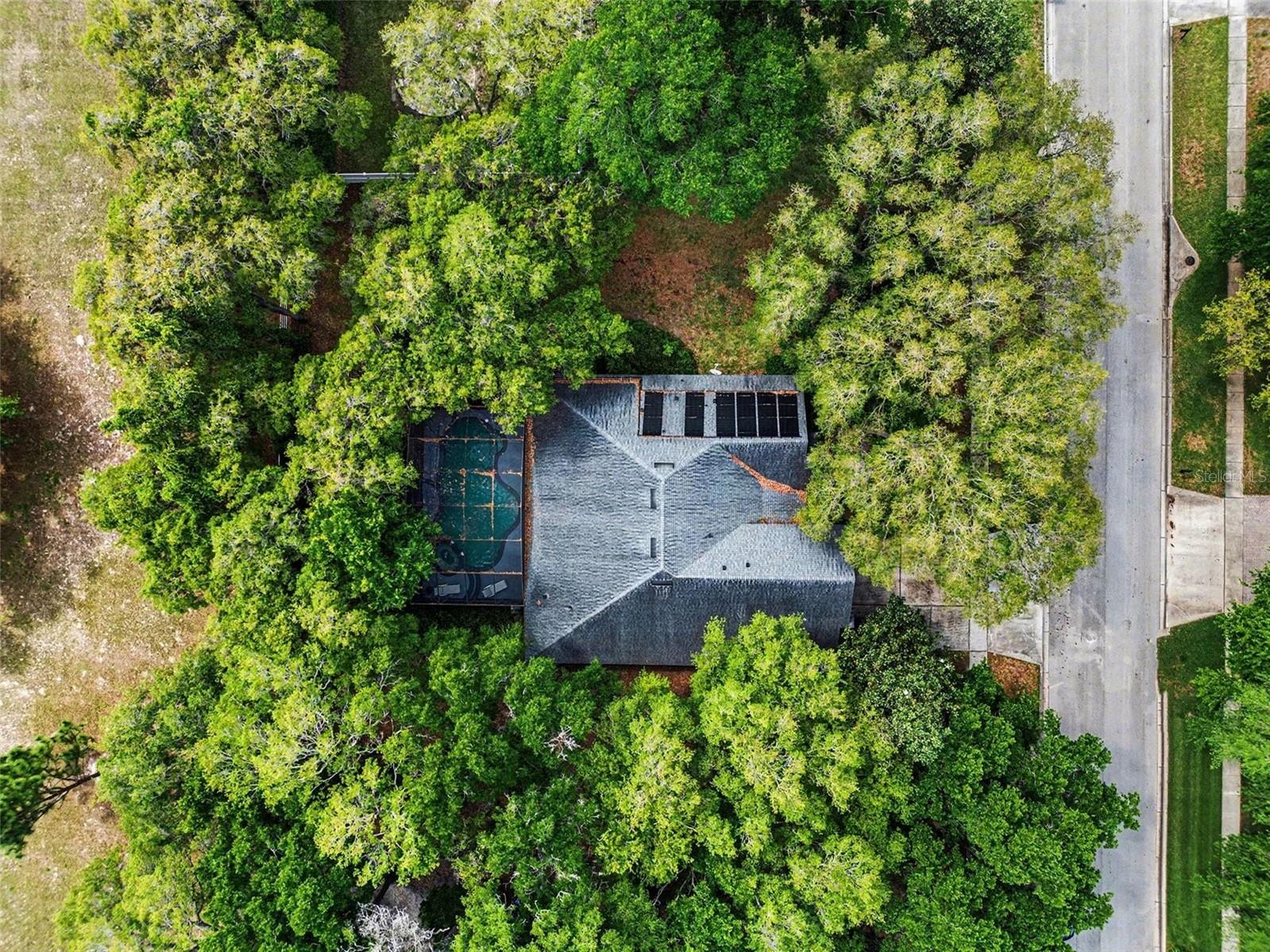 4323 Caledonia Avenue Apopka FL 32712 O6398700 image29