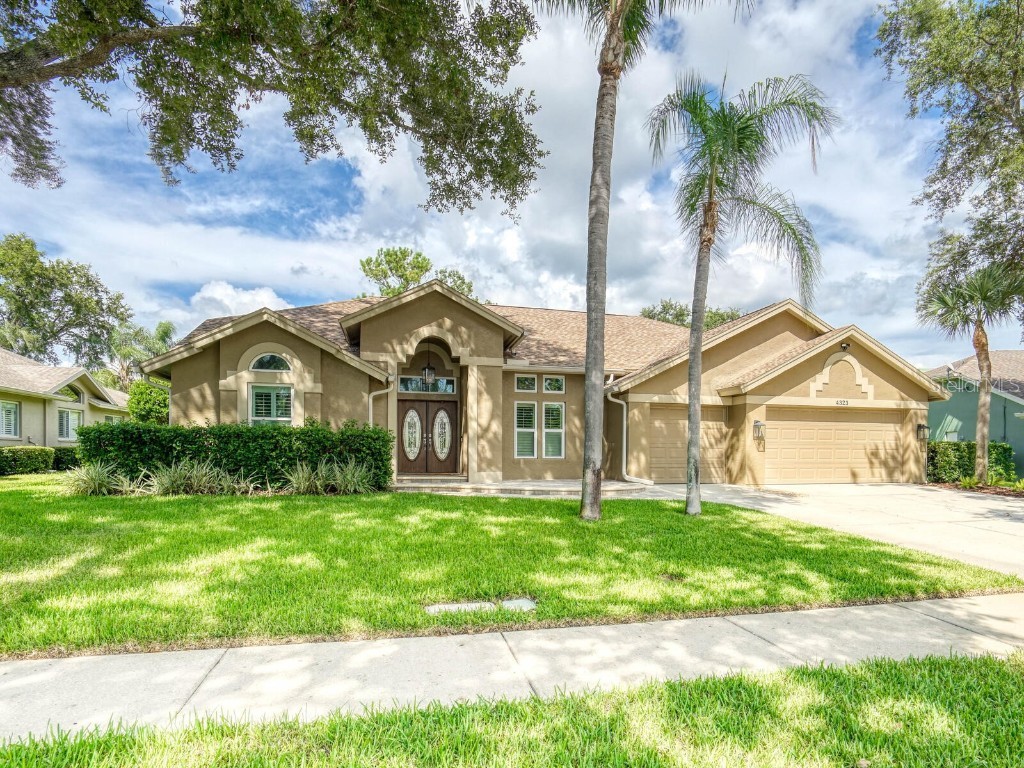 4323 Clairidge Way Palm Harbor FL 34685 TB8415013 image1