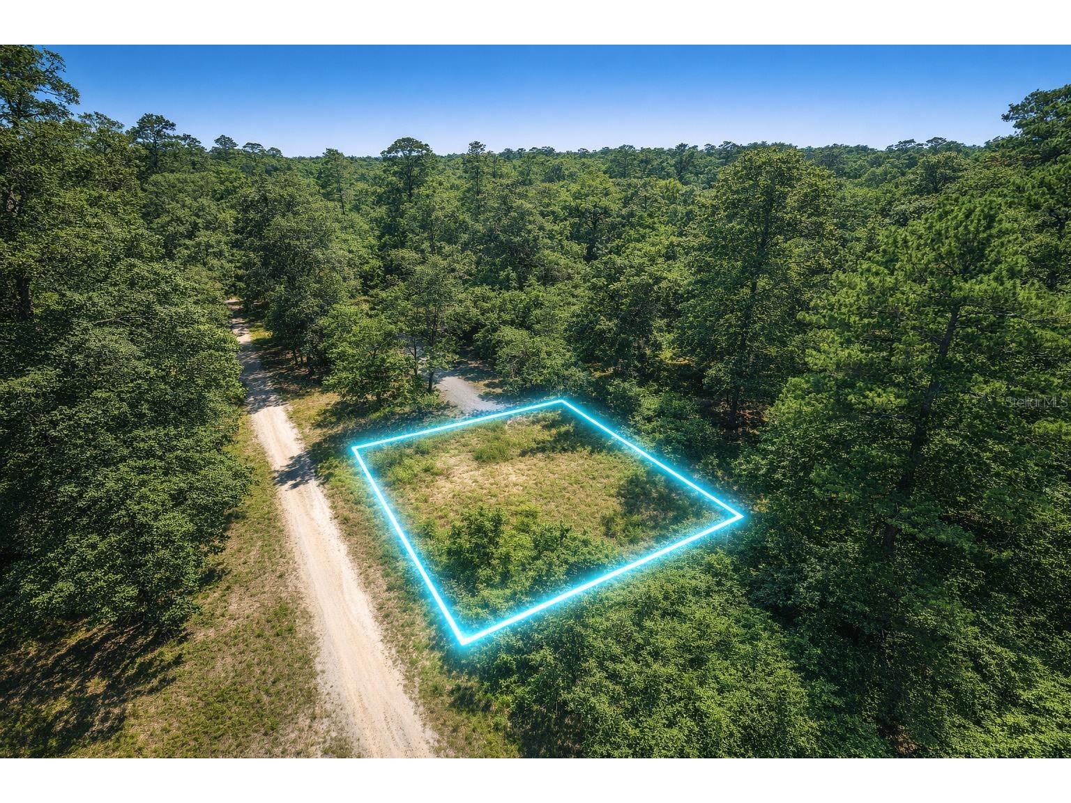 4323 Pocahontas Drive Dade City FL 33523 TB8509078 image16