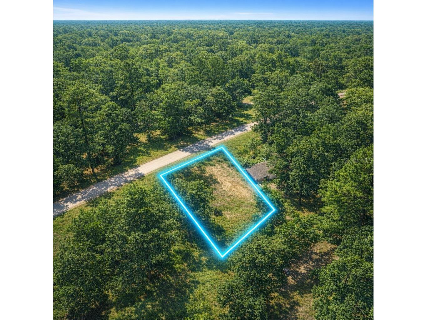 4323 Pocahontas Drive Dade City FL 33523 TB8509078 image18