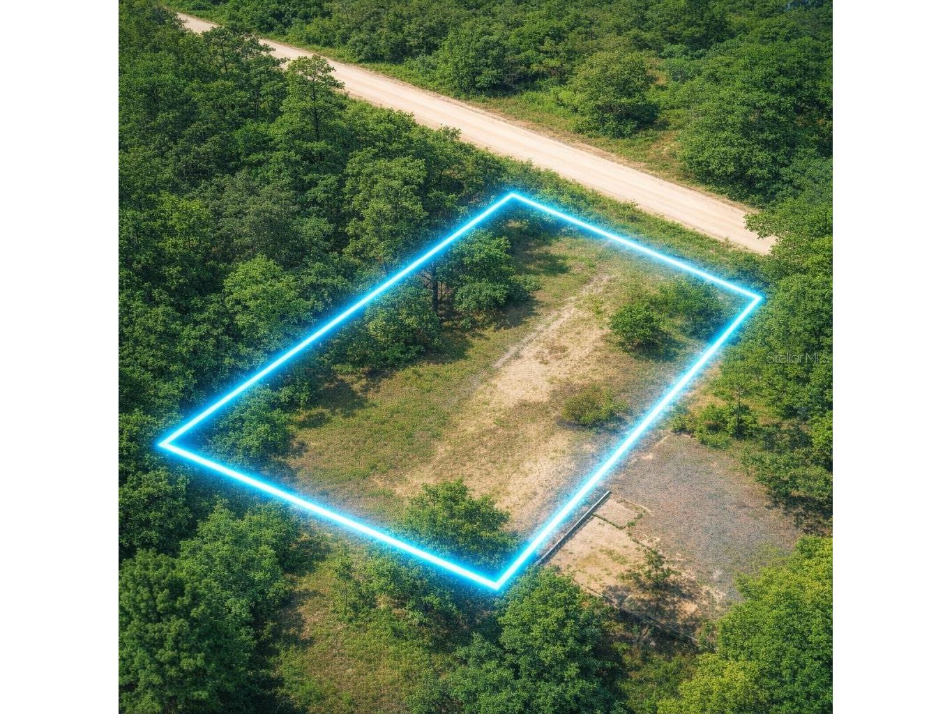 4323 Pocahontas Drive Dade City FL 33523 TB8509078 image20