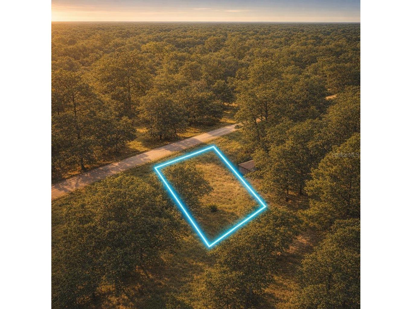 4323 Pocahontas Drive Dade City FL 33523 TB8509078 image8