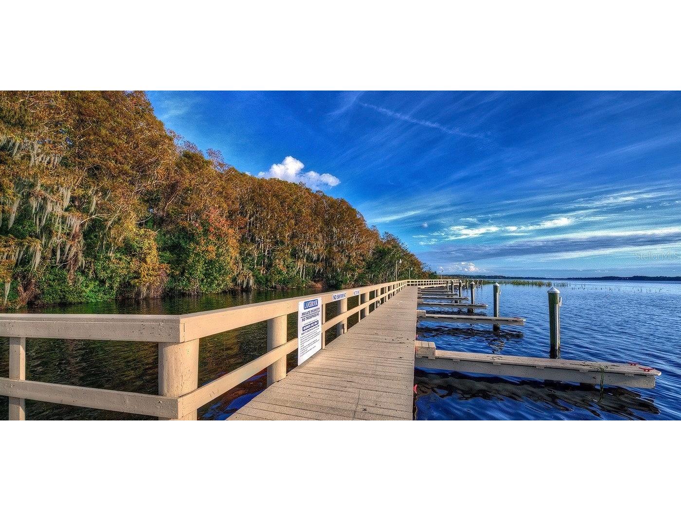 4324 Auston Way Palm Harbor FL 34685 TB8473986 image50