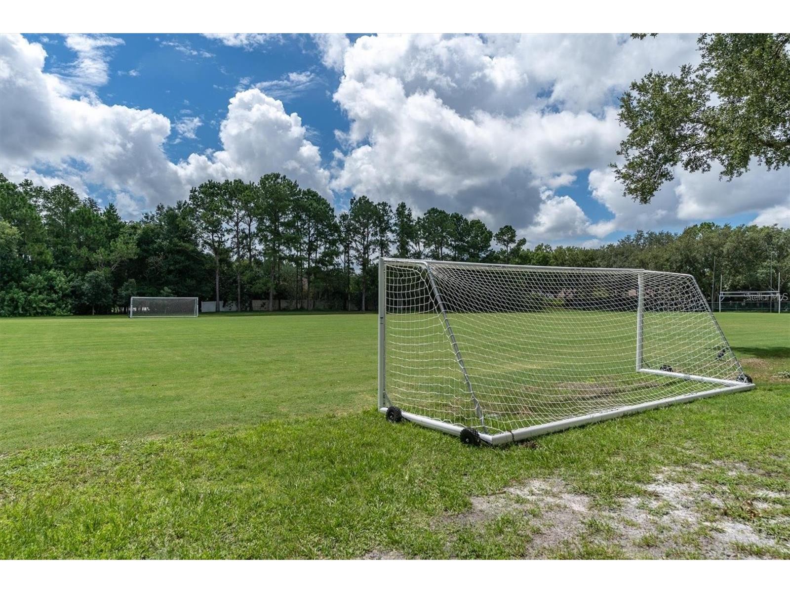 4324 Auston Way Palm Harbor FL 34685 TB8473986 image52