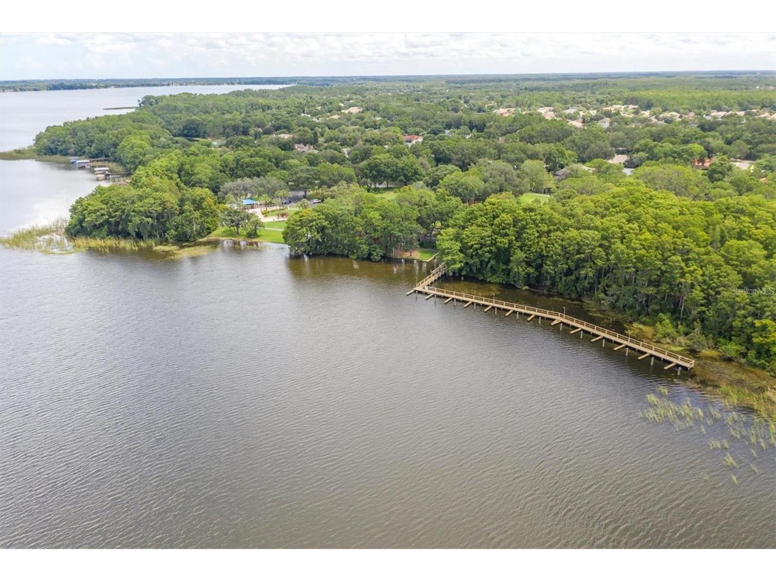4324 Auston Way Palm Harbor FL 34685 TB8473986 image54