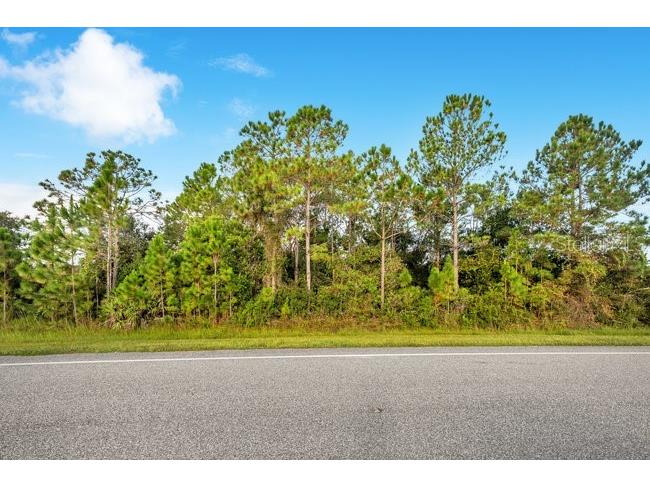 4324 Bancroft Boulevard Orlando FL 32833 O6351200 image1