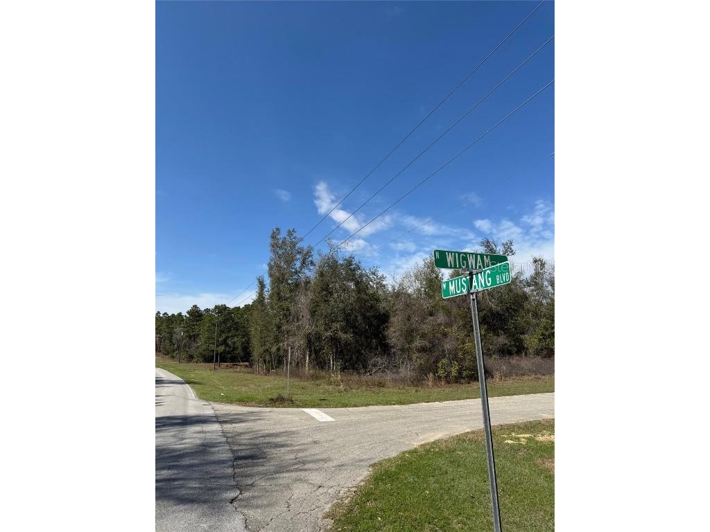 4324 N Wigwam Terrace Beverly Hills FL 34465 OM695280 image1