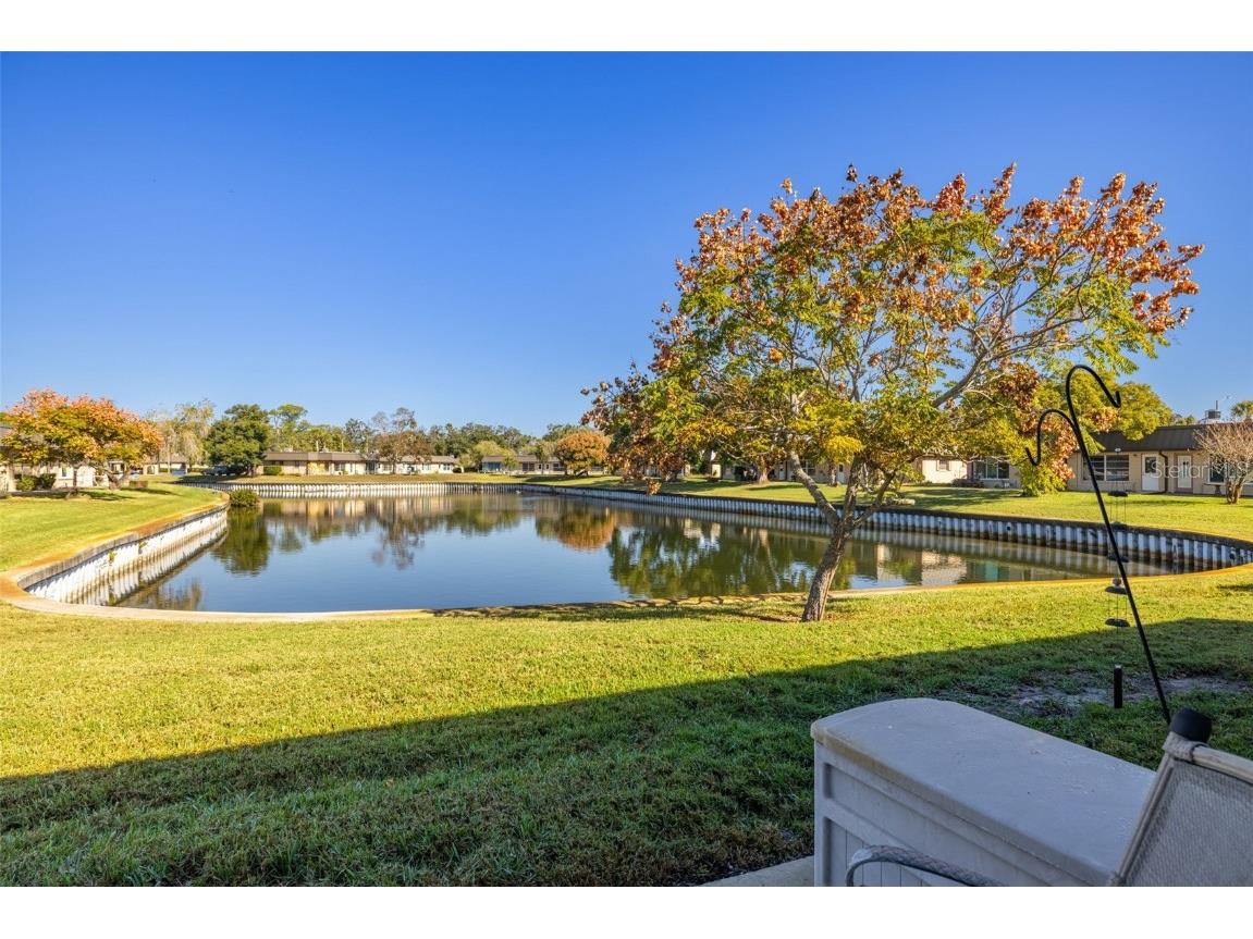 4324 Summersun Drive New Port Richey FL 34652 TB8451917 image26