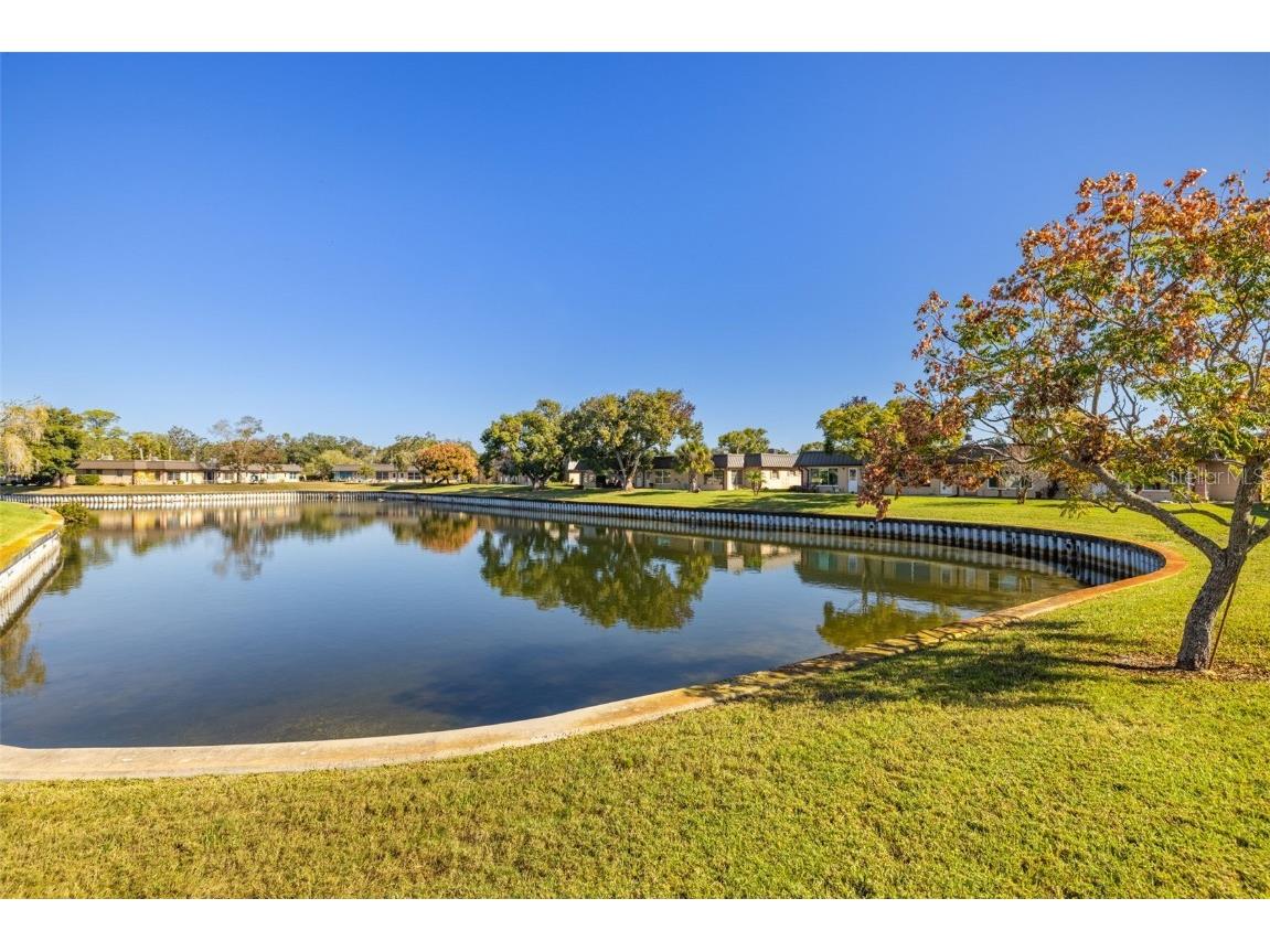 4324 Summersun Drive New Port Richey FL 34652 TB8451917 image27