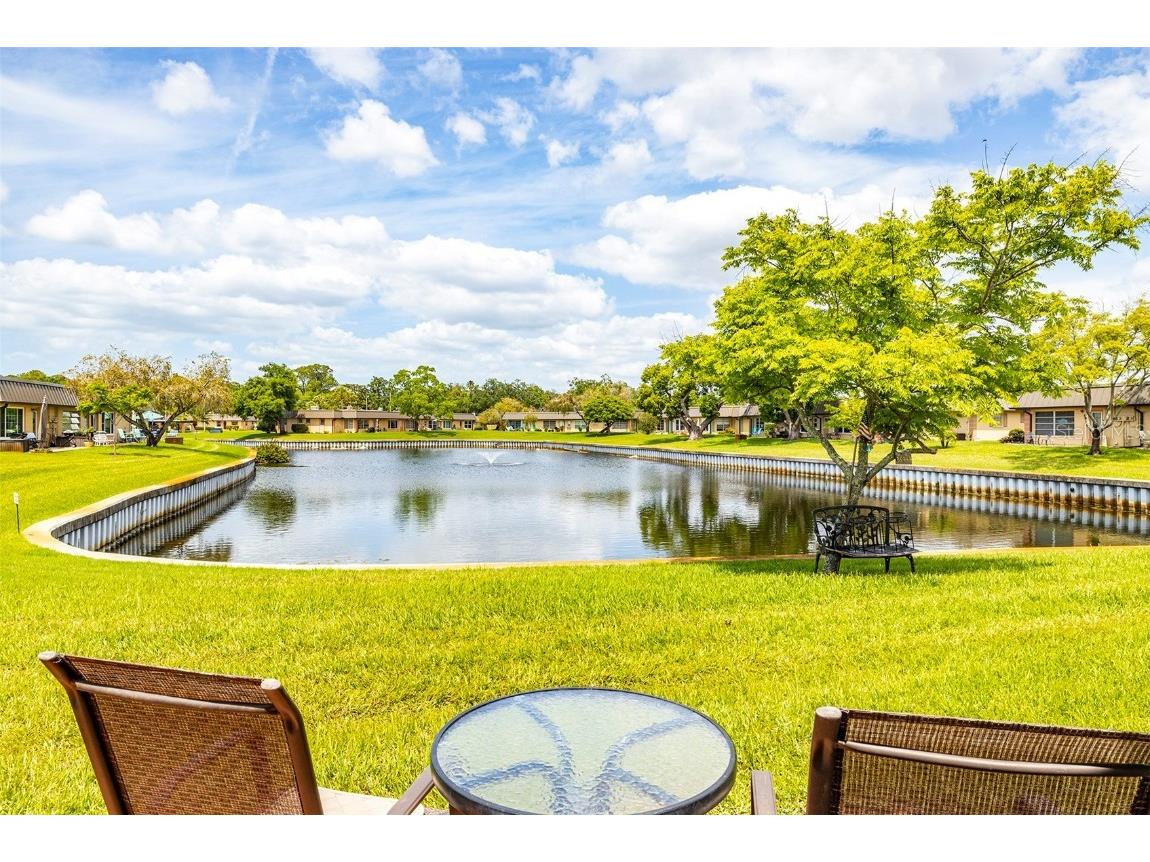 4324 Summersun Drive New Port Richey FL 34652 TB8451917 image30