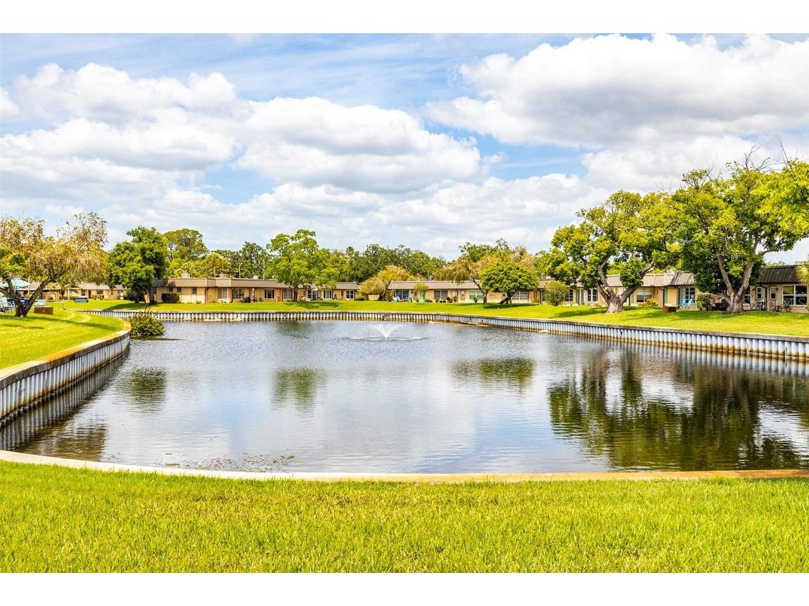 4324 Summersun Drive New Port Richey FL 34652 TB8451917 image31