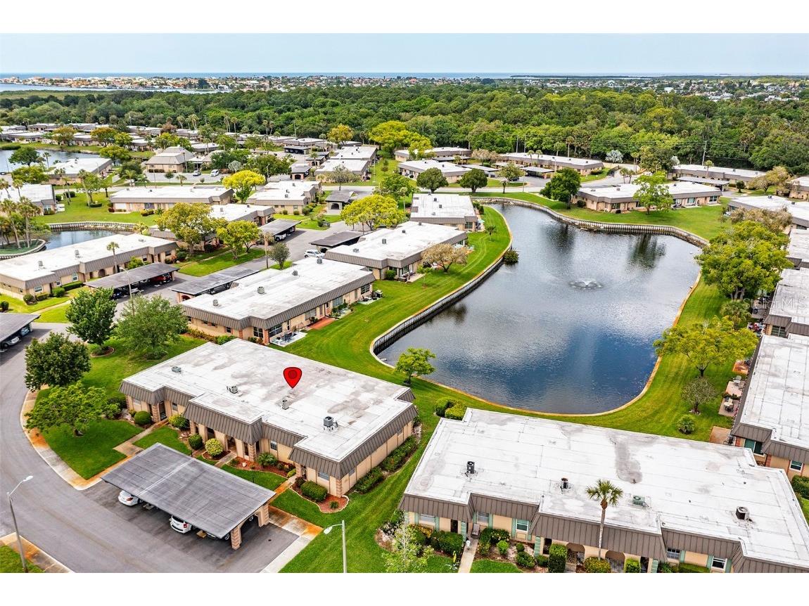 4324 Summersun Drive New Port Richey FL 34652 TB8451917 image35