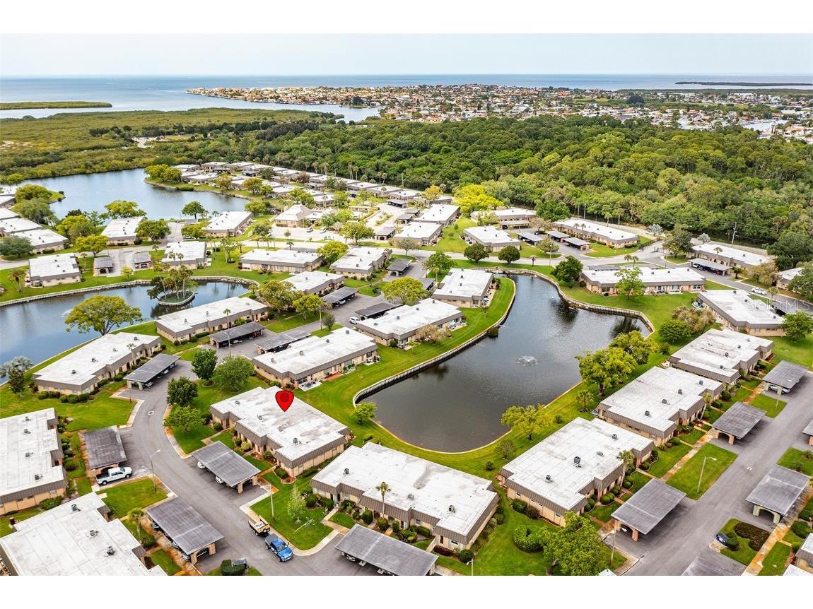 4324 Summersun Drive New Port Richey FL 34652 TB8451917 image36