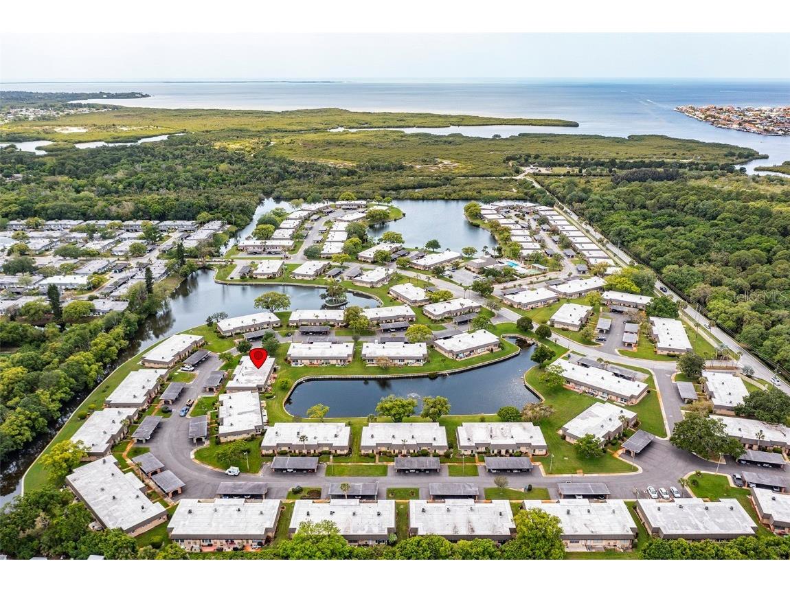 4324 Summersun Drive New Port Richey FL 34652 TB8451917 image38