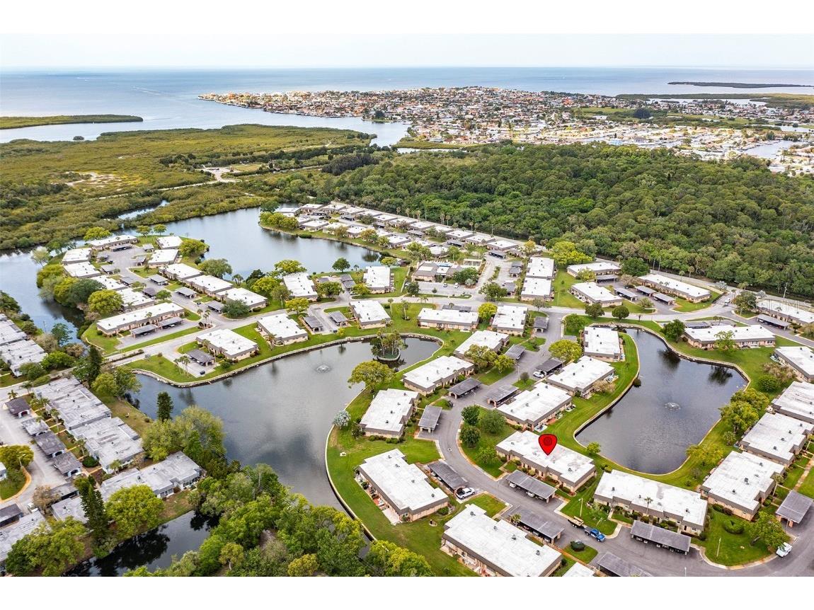 4324 Summersun Drive New Port Richey FL 34652 TB8451917 image39