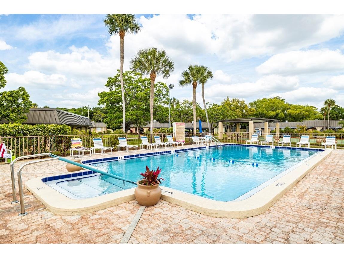 4324 Summersun Drive New Port Richey FL 34652 TB8451917 image41