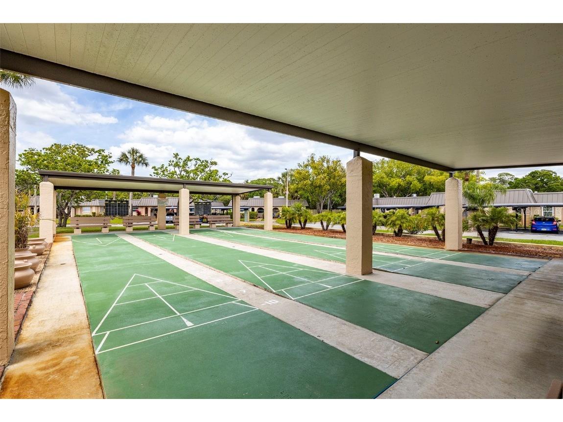 4324 Summersun Drive New Port Richey FL 34652 TB8451917 image43