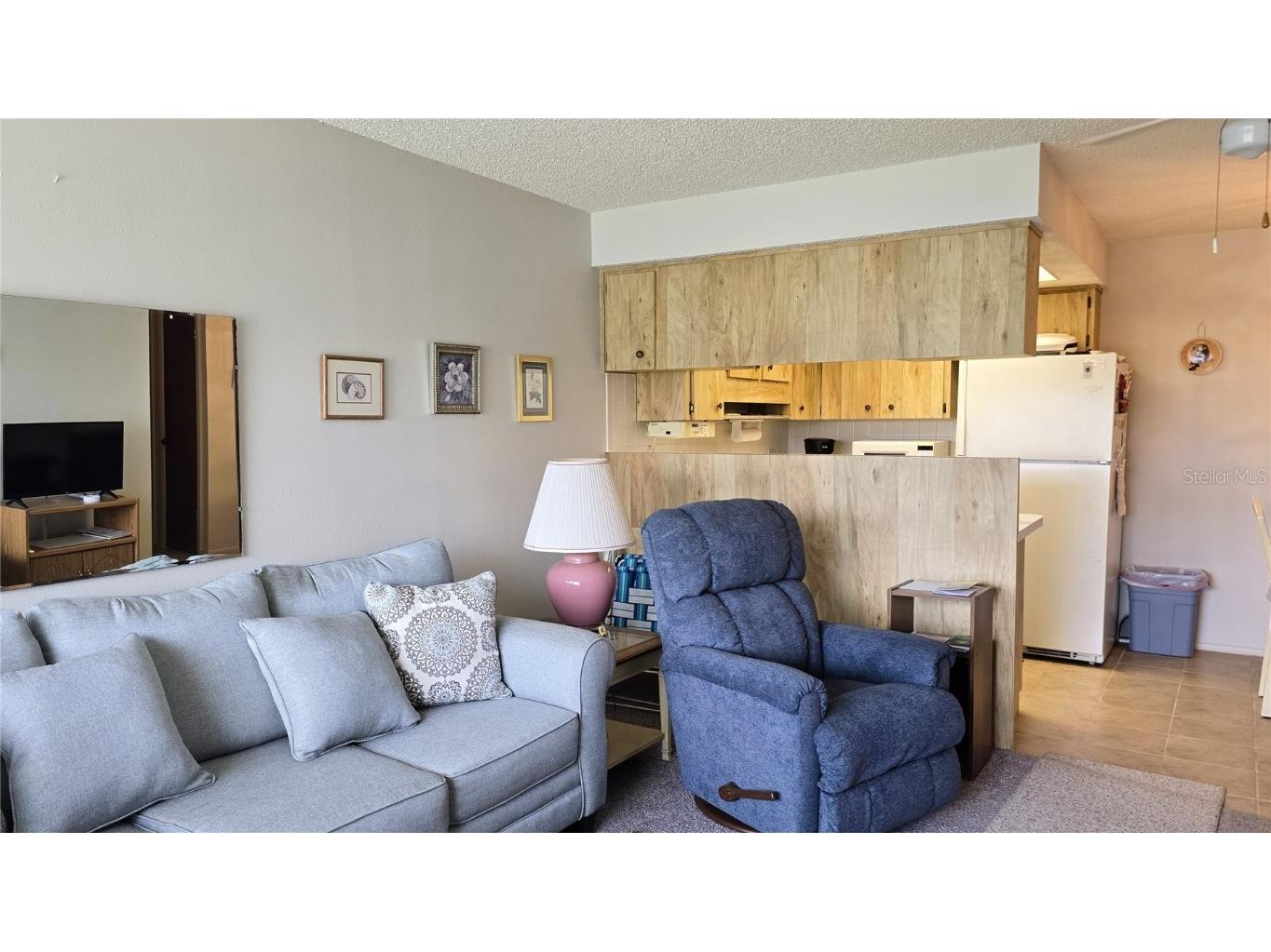 4324 Tahitian Gardens Circle #J Holiday FL 34691 TB8391715 image6