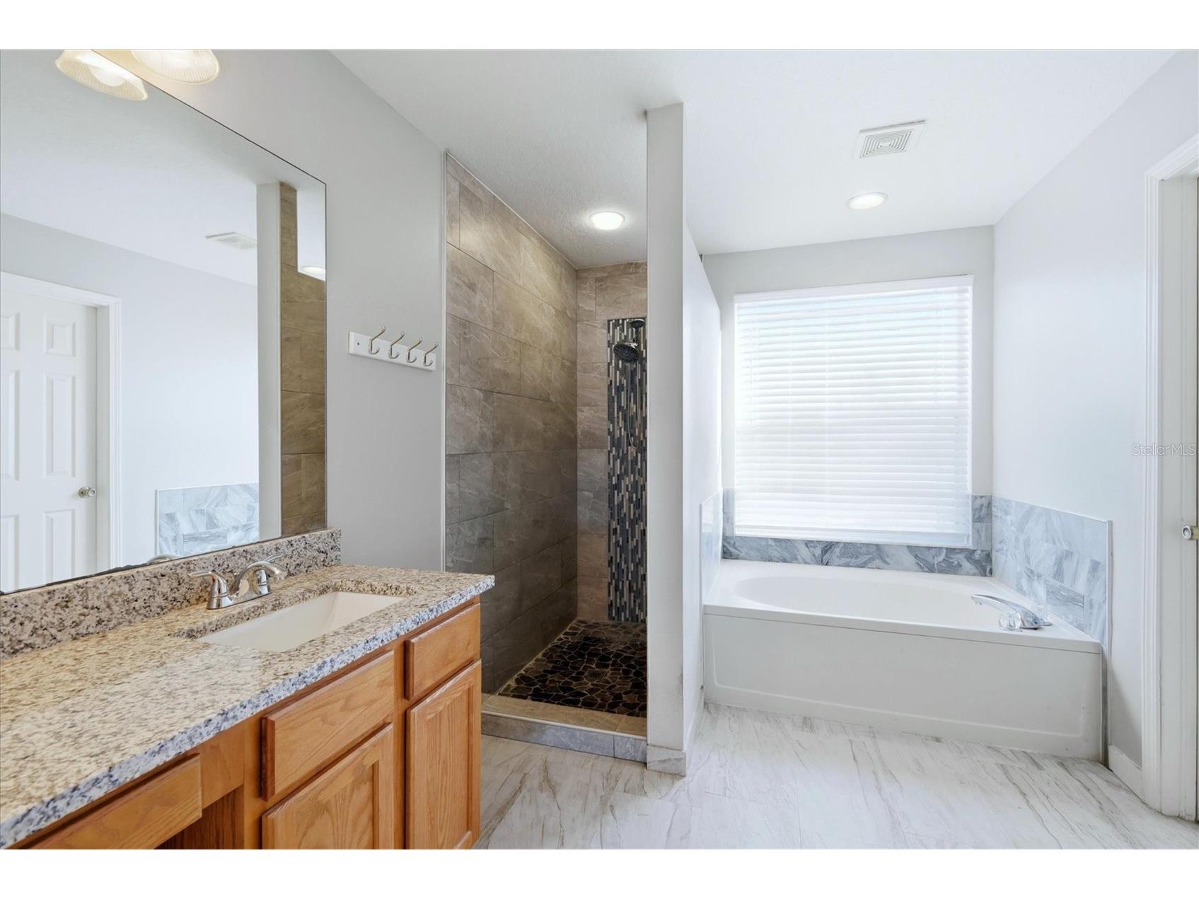 4324 Windmill Pointe Dr Plant City FL 33567 A4685637 image36