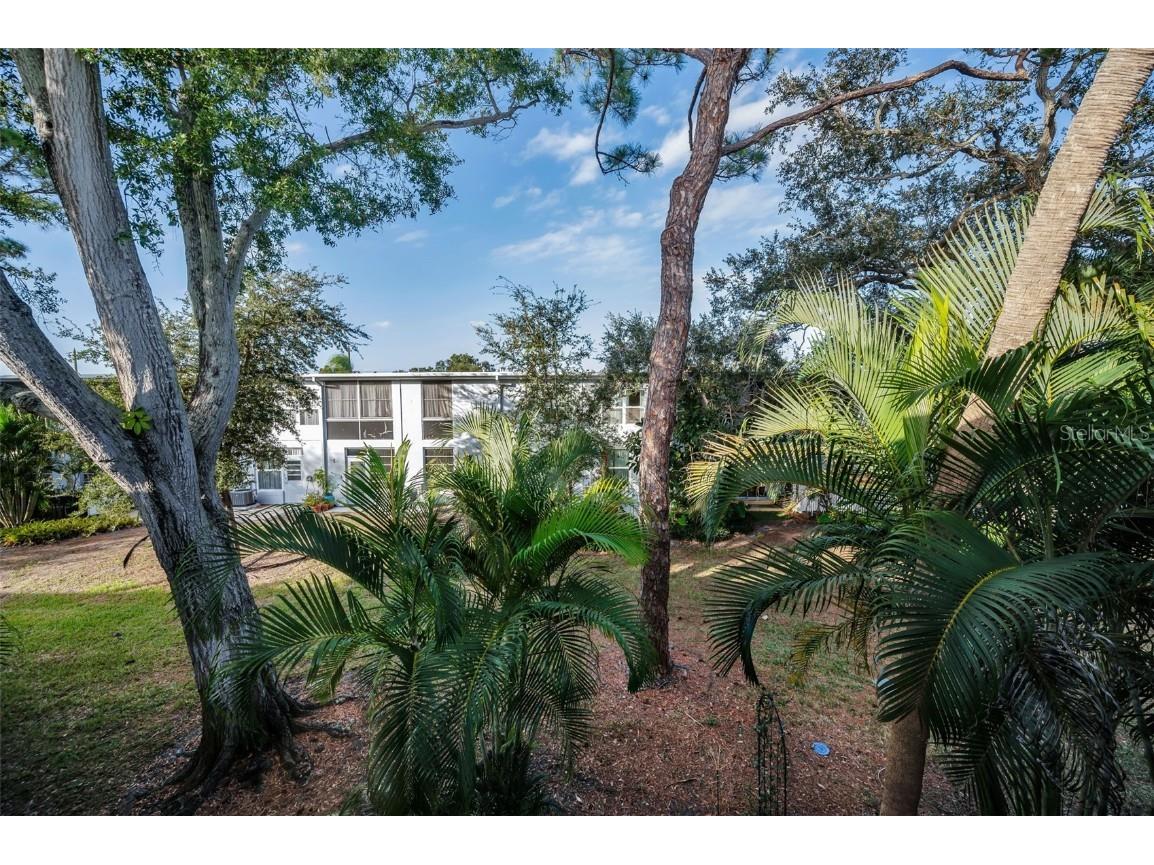 4325 58th Way N #1531 Kenneth City FL 33709 TB8456493 image27