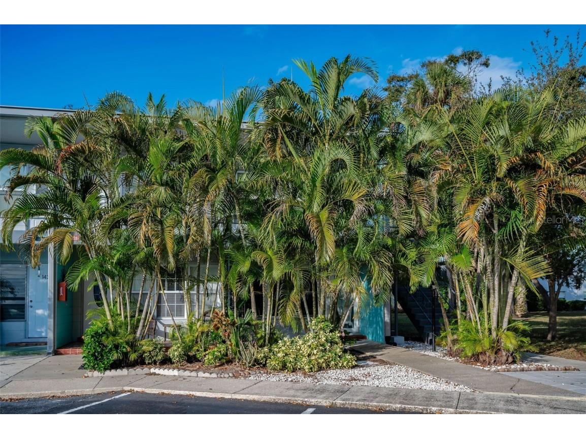 4325 58th Way N #1531 Kenneth City FL 33709 TB8456493 image3