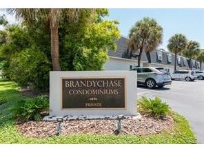 4325 Aegean Drive #114B Tampa FL 33611 T3463106 image1