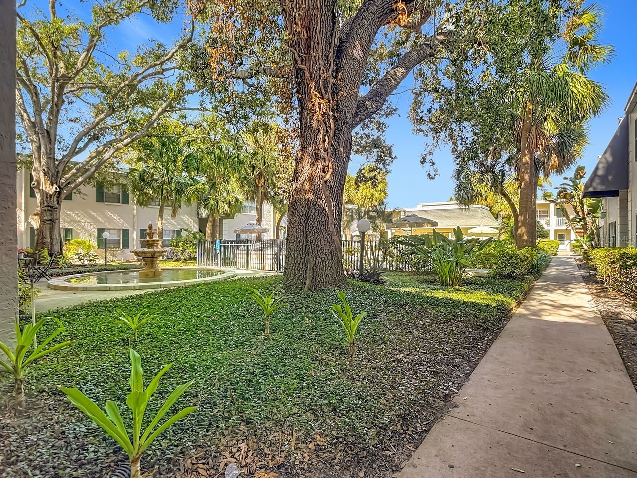 4325 Aegean Drive #132B Tampa FL 33611 TB8463869 image2