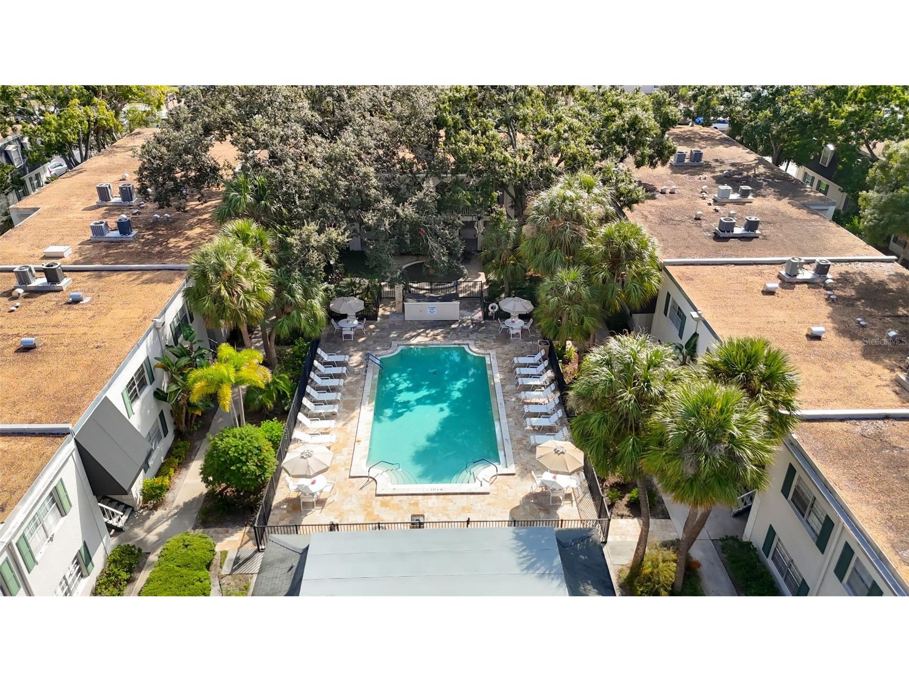 4325 Aegean Drive #132B Tampa FL 33611 TB8463869 image38