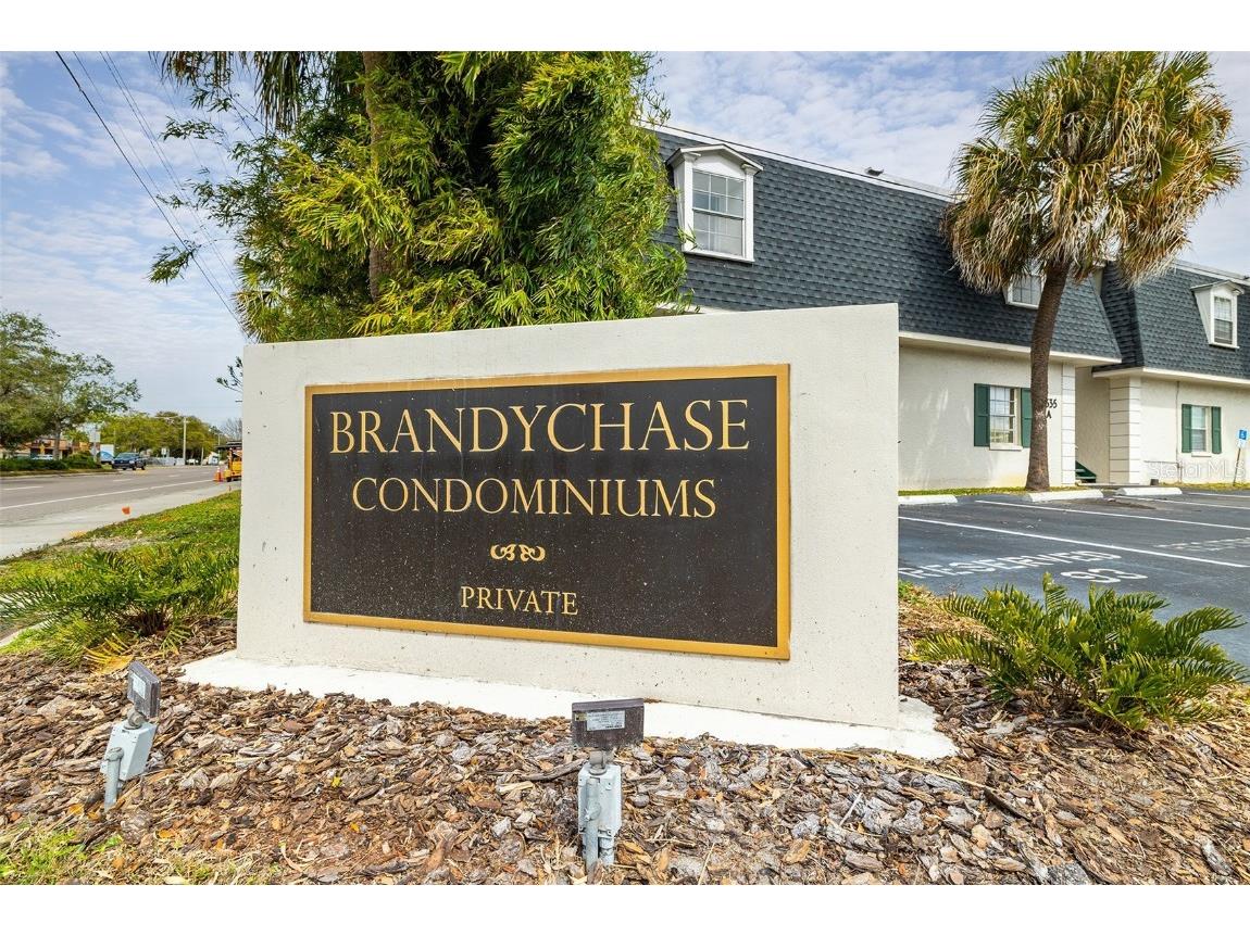 4325 Aegean Drive #148B Tampa FL 33611 T3478215 image1