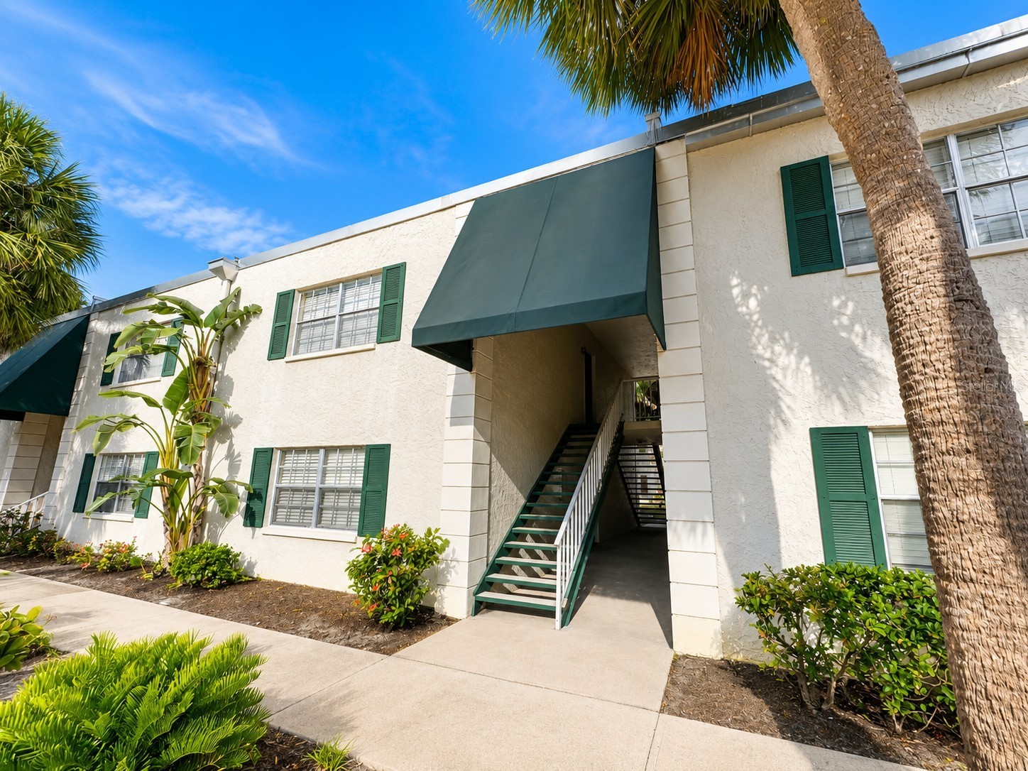 4325 Aegean Drive #202B Tampa FL 33611 TB8517687 image1