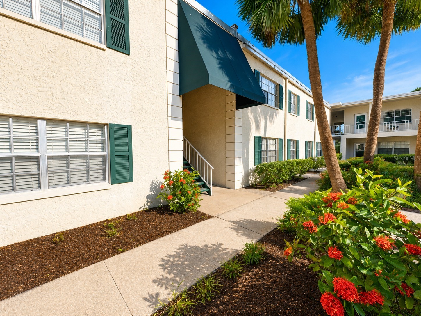 4325 Aegean Drive #202B Tampa FL 33611 TB8517687 image2
