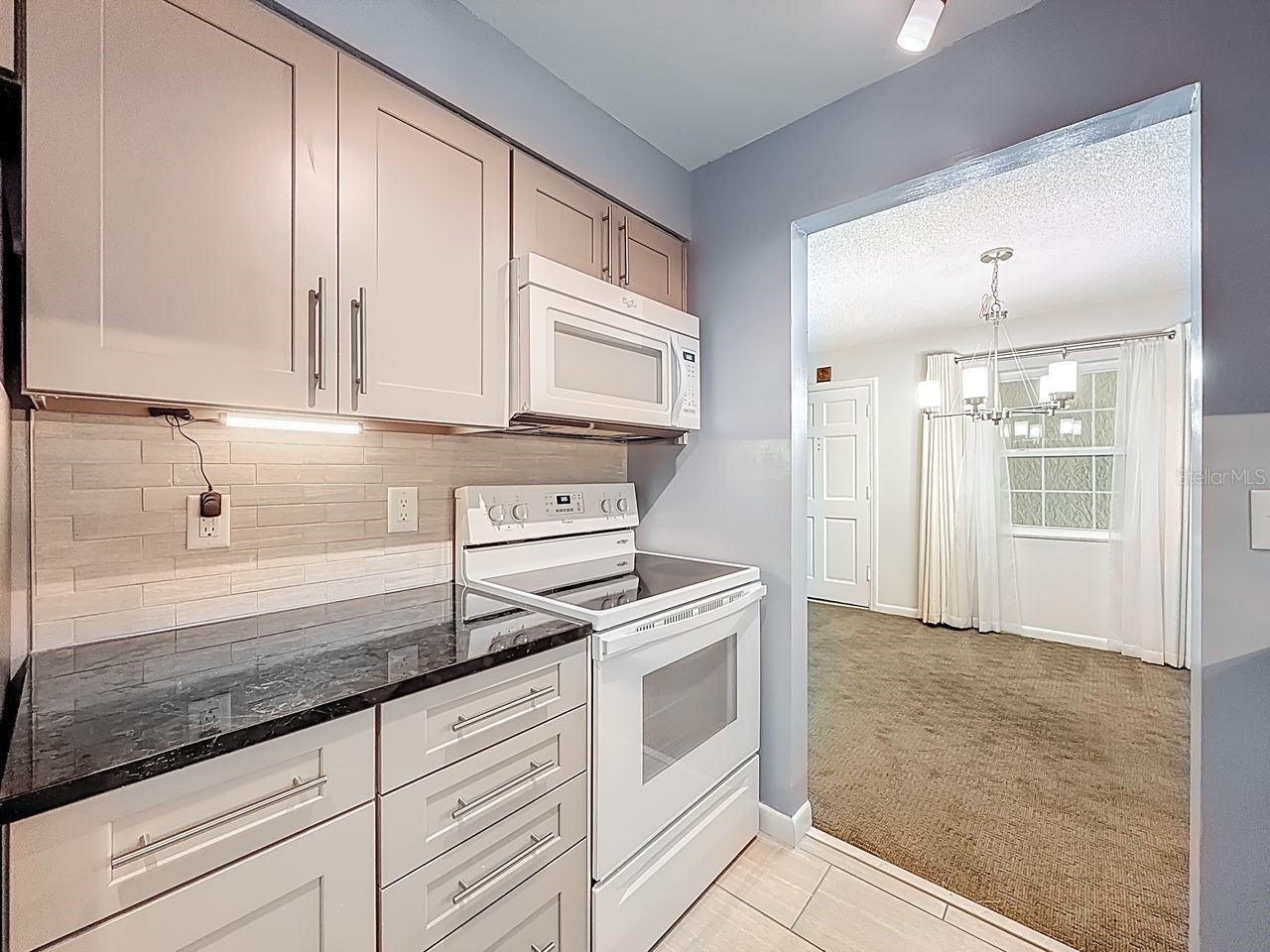 4325 Aegean Drive #204B Tampa FL 33611 TB8463804 image8