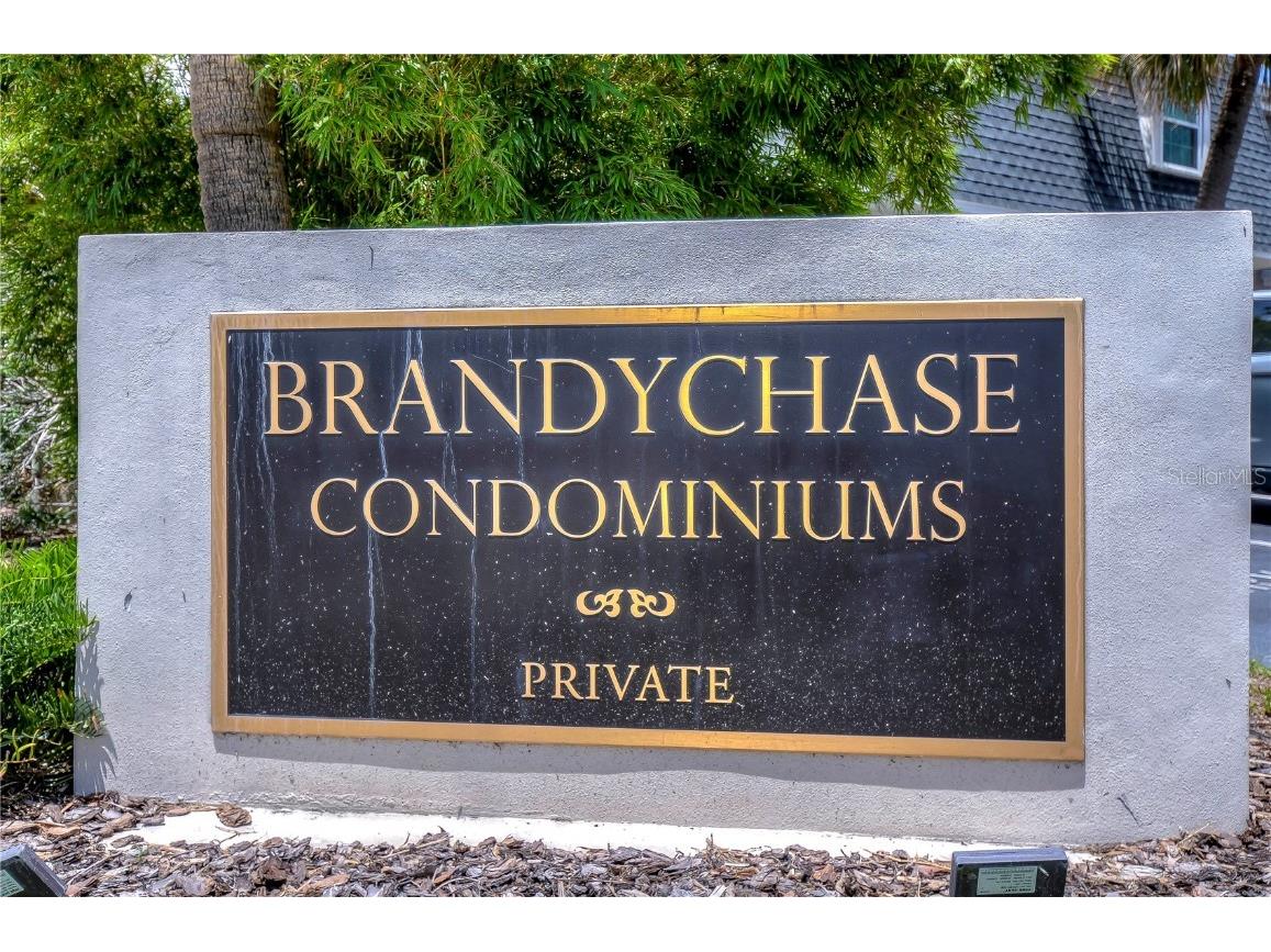 4325 Aegean Drive #230B Tampa FL 33611 T3459339 image1