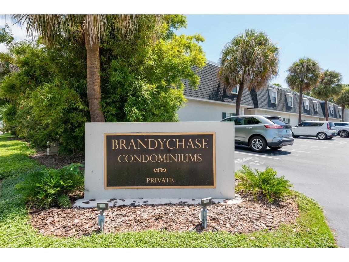 4325 Aegean Drive #244B Tampa FL 33611 T3382868 image1