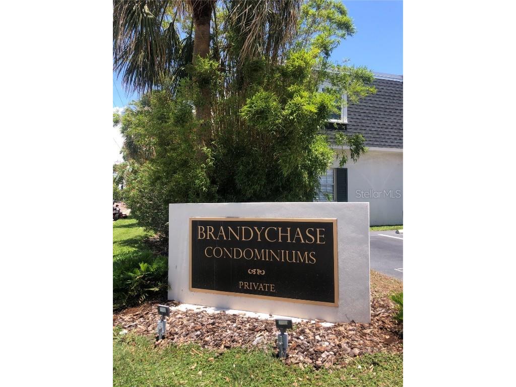 4325 Aegean Drive #250B Tampa FL 33611 T3450871 image1