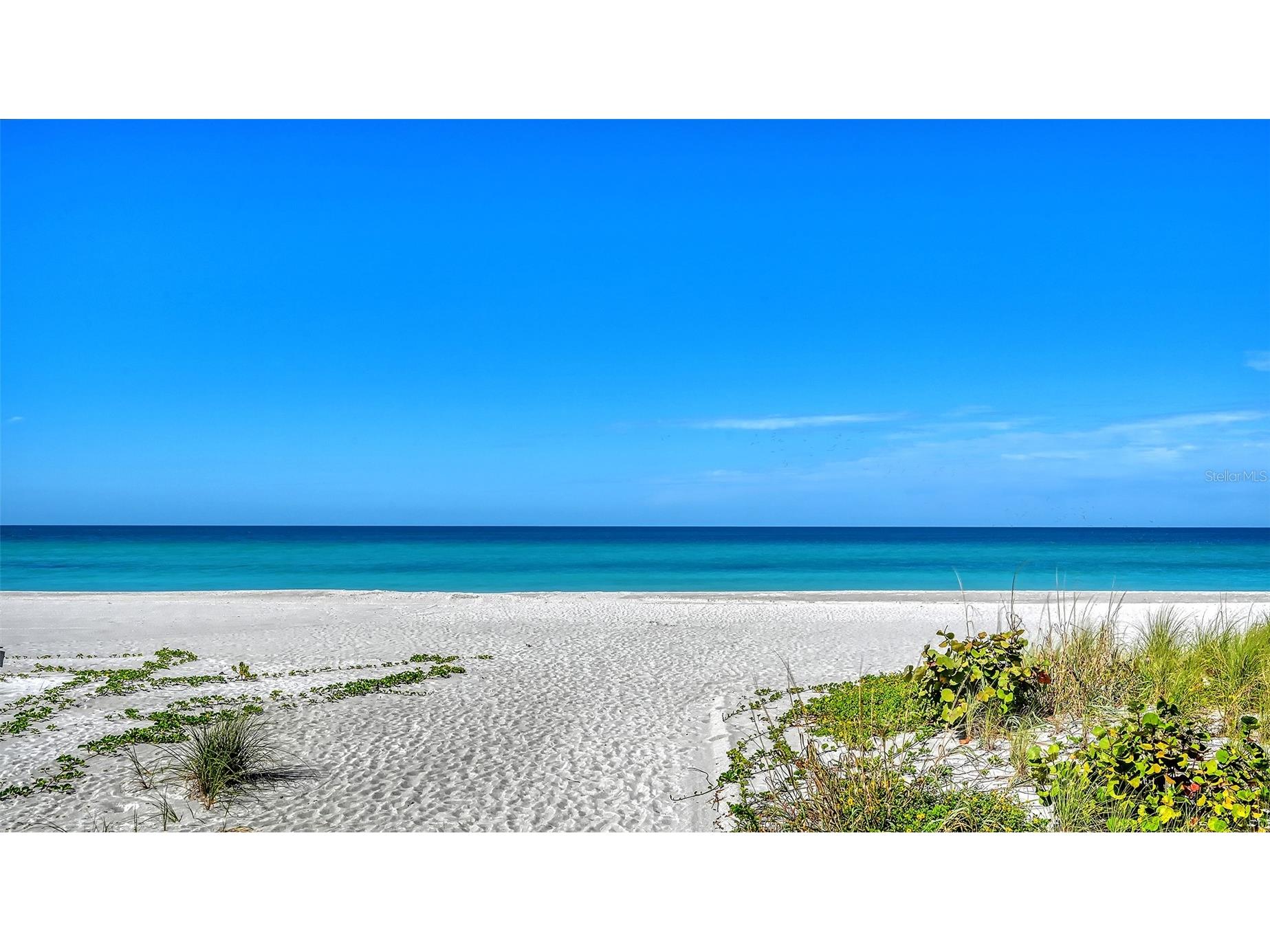 4325 Gulf Of Mexico Drive #103 Longboat Key FL 34228 - GULF A4693621 image31