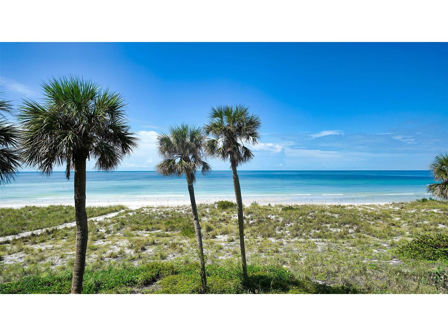 4325 Gulf Of Mexico Drive #305 Longboat Key FL 34228 - GULF OF MEXICO A4690883 image1