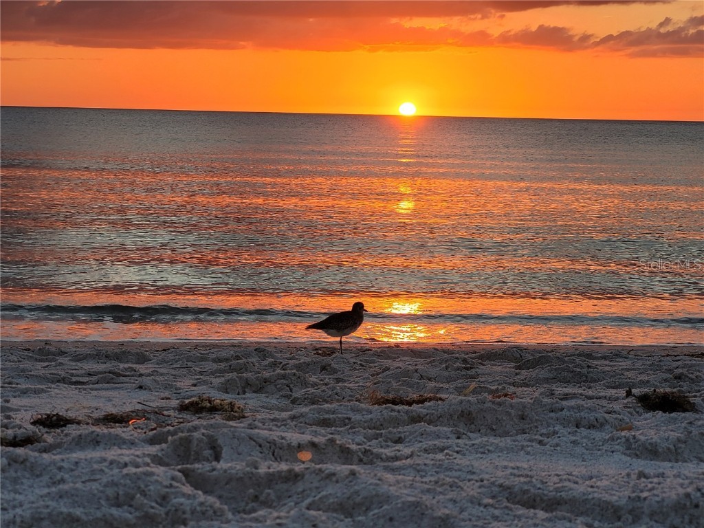 4325 Gulf Of Mexico Drive #406 Longboat Key FL 34228 A4535853 image23