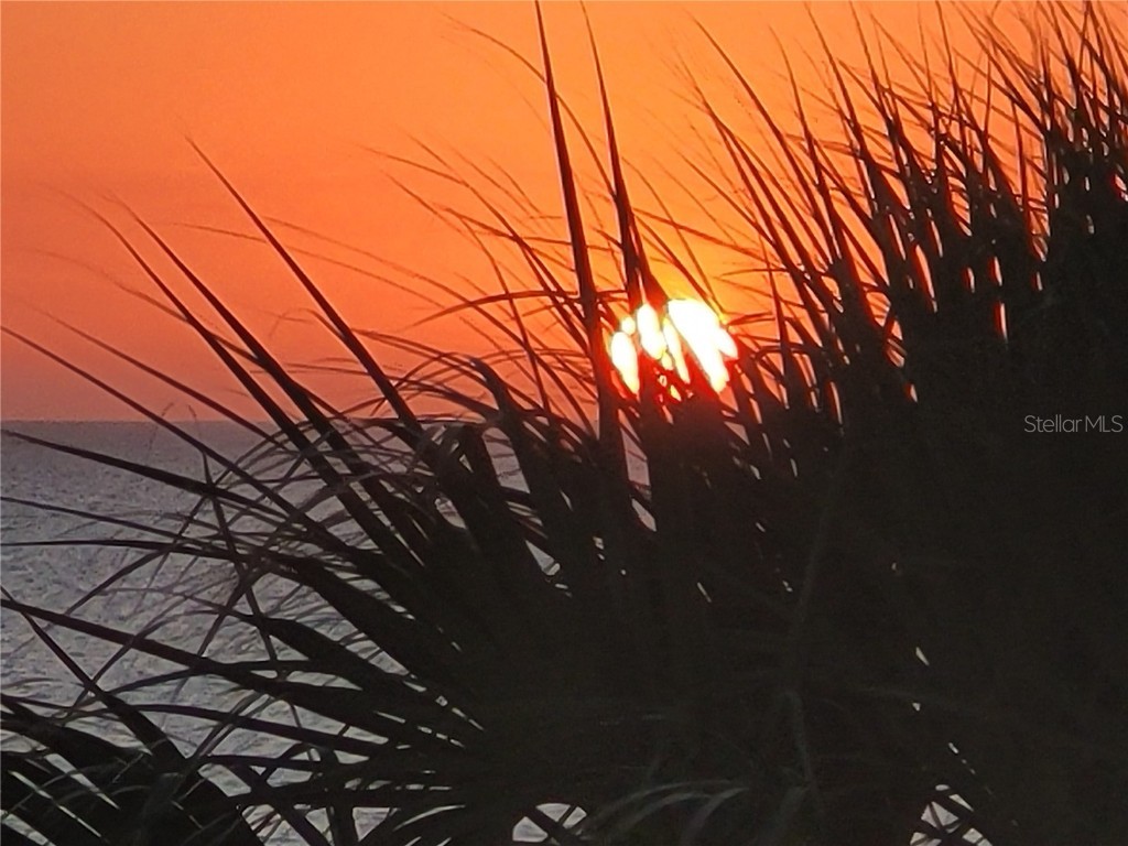 4325 Gulf Of Mexico Drive #406 Longboat Key FL 34228 A4535853 image24