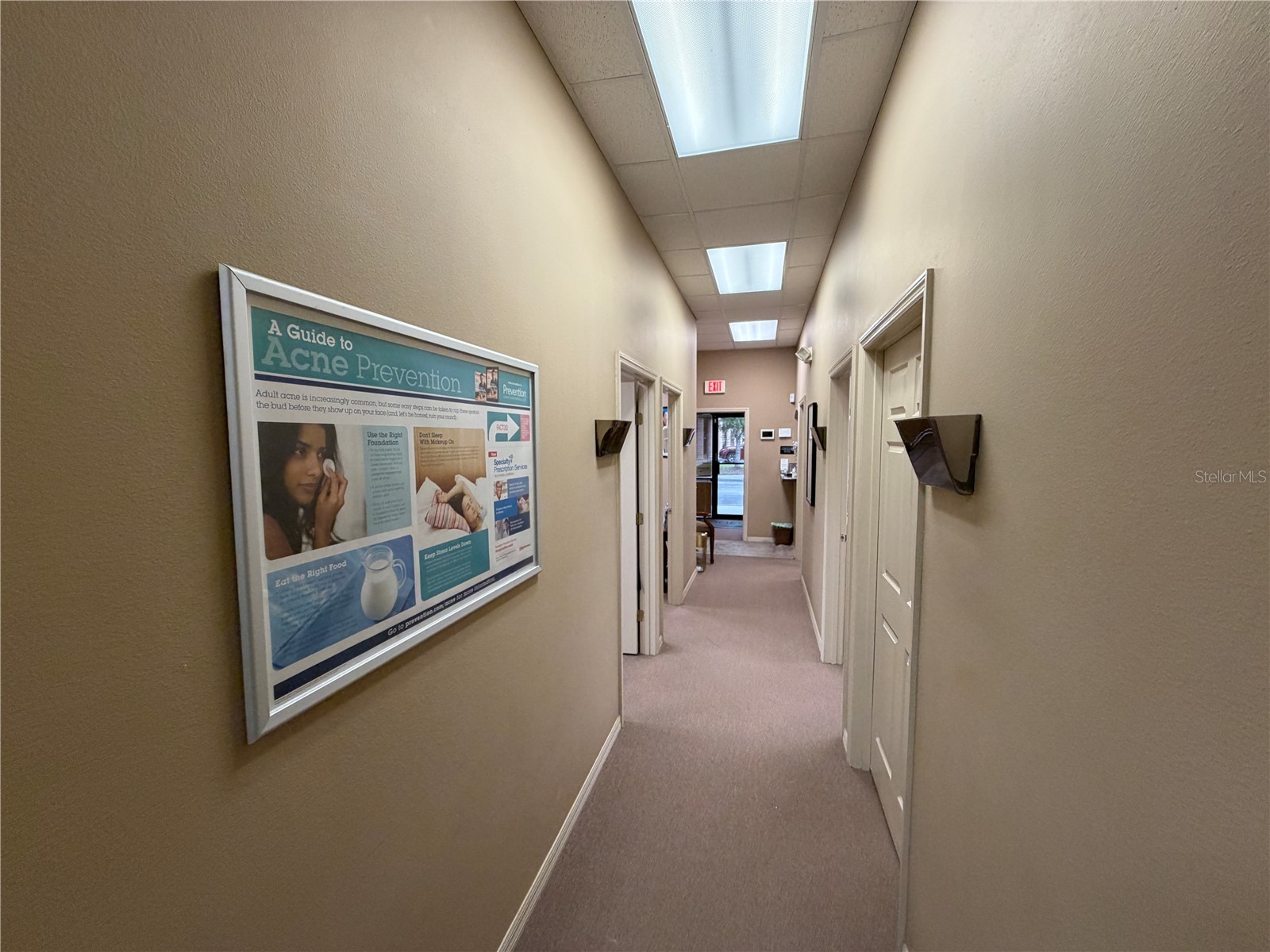 4325 Lynx Paw Trail #4325 Valrico FL 33596 TB8518734 image43