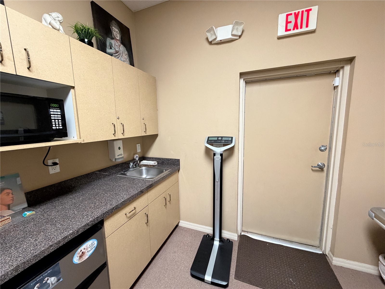 4325 Lynx Paw Trail #4325 Valrico FL 33596 TB8518734 image48